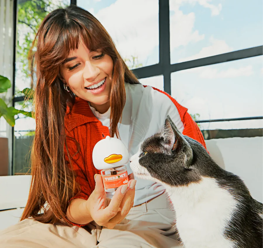 Style Meets Serenity for Pets